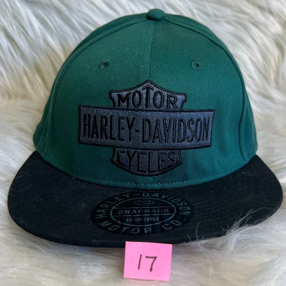 Harley-Davidson Motor Cycle Snap Back Flat Bill One Size Fits ALL BRAND NEW